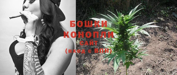 тгк Белокуриха